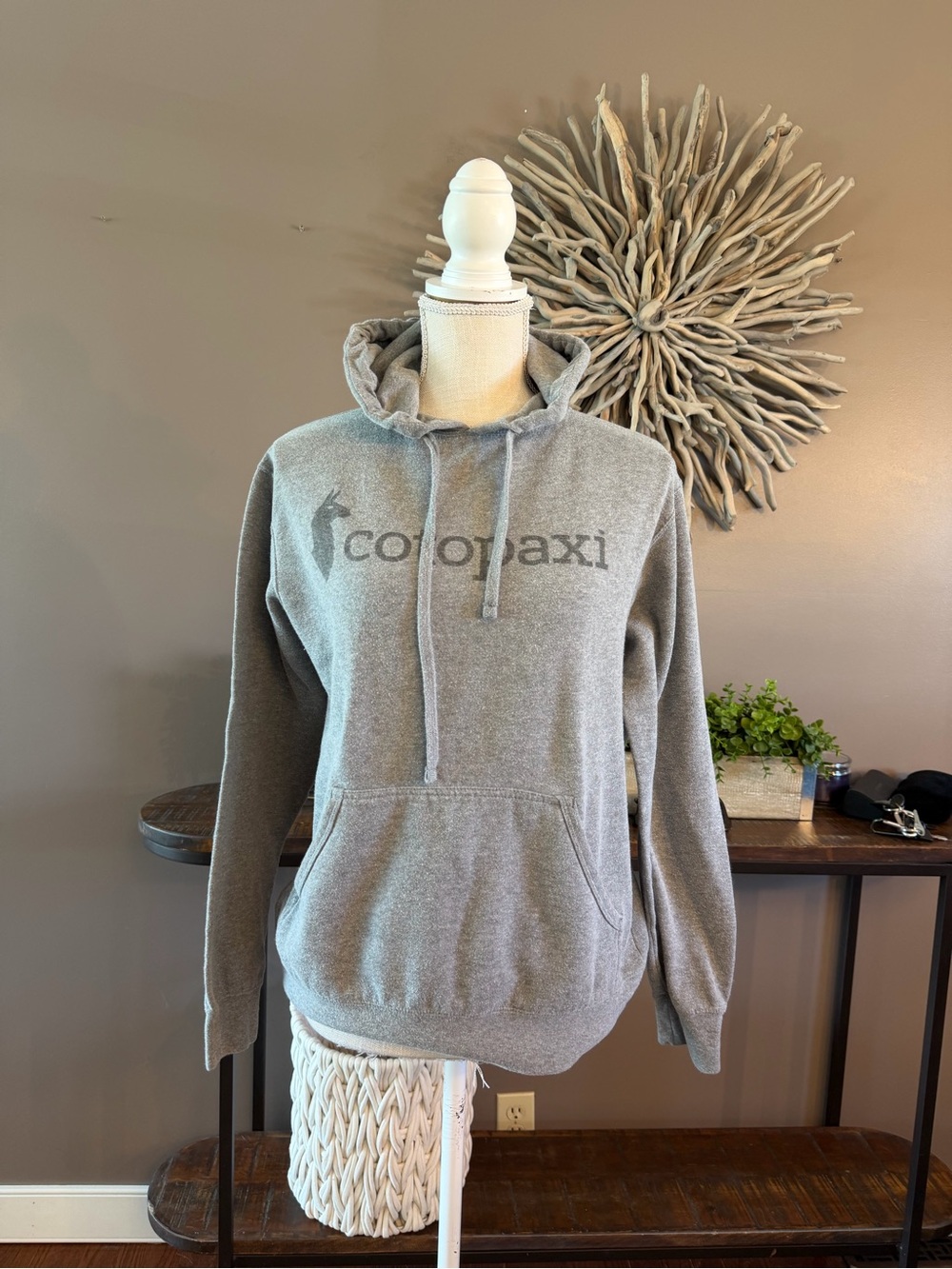 Cotopaxi hooded sweatshirt in grey.